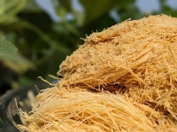 ঘিয়ে ভাজা শাহী লাচ্ছা সেমাই