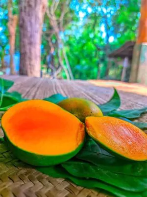 হিমসাগর আম