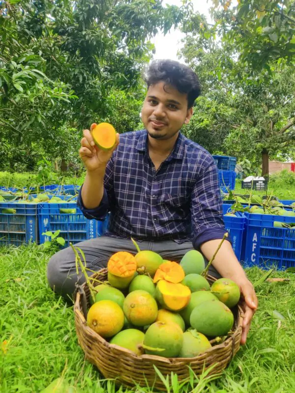 WhatsApp Image 2024-05-29 at 11.05.37 AM হিমসাগর আম