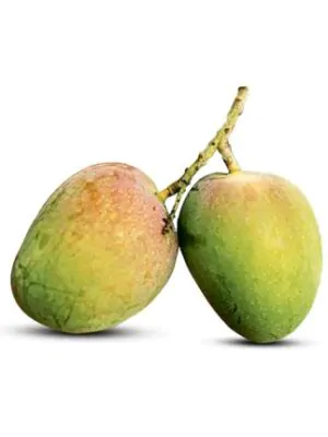 bari-4-430x430 বারি-৪ আম