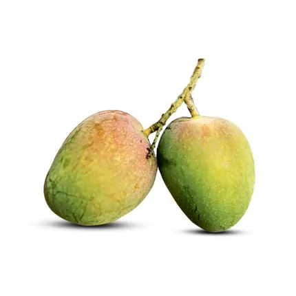 বারি-৪ আম